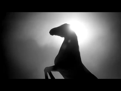 गैसोलीन वाहन