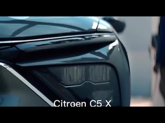 गैसोलीन वाहन