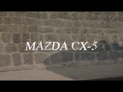 गैसोलीन वाहन