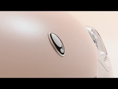 ईवी मिनी