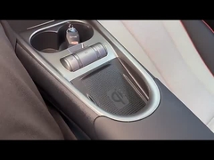 ईवी मिनी