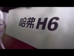 हाई स्पीड हवल एच6 2023 कॉम्पैक्ट एसयूवी ईंधन वाहन बाजार के लिए अंतिम विकल्प